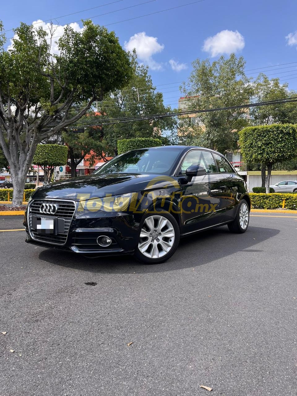 Audi A1 Ego TFSI 2013 TOTAL AUTO MX (21)