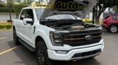 Ford Lobo Tremor High 4x4 Crew Cab 2023 Total Auto Mx (18)